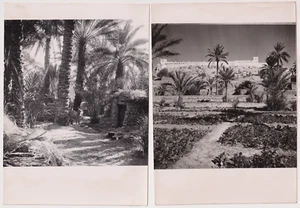 18x13 - ALGERIE Jean Morin à Alger 1950 - BENI-ABBES - 2 Vintage argentic prints - Foto 1 di 1