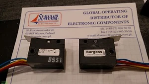 Palanca Burgess 272F5Y3245 doble poste sellado microinterruptor 2A 250Vac cable IP67 2 piezas - Imagen 1 de 4