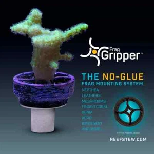 Gripper Frag 10 unidades negro - ya no es necesario pegar - - Imagen 1 de 5