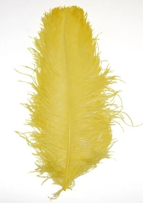 PLUMAS DE AVESTRUZ PLUMAS 18"-23" Calidad Superior Muchos Colores Disfraz de Novia Halloween Foto 1 de 4