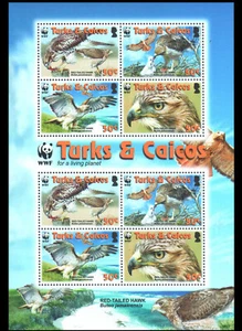 TURKS & CAICOS - 2007 WWF / RED-TAILED HAWK / BIRD - MIN SHEET MINT NH - Picture 1 of 4