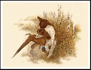 ENGLISH SPRINGER SPANIEL & PHEASANT LOVELY VINTAGE STYLE DOG ART PRINT POSTER - Picture 1 of 1
