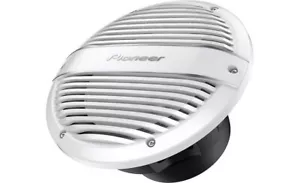 NUEVO Subwoofer Marino Pioneer TS-ME100WC 10" (Blanco) 300W RMS - Imagen 1 de 2