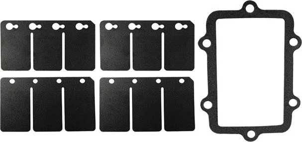 Kit de reparo de válvula de palheta SP1 SM-07161C Ski-Doo/Lynx - Imagem 1 de 1