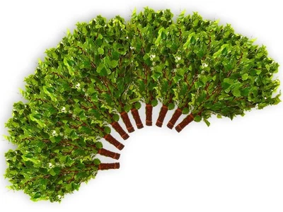 Birkenreisig 10 x 55-60cm Birkenquast Birkenzweig Sauna Wenik Banja Saunazubehör - Bild 1 von 2