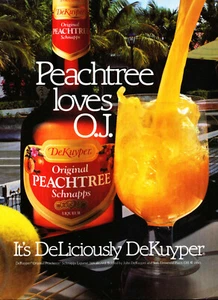 DeKuyper LIQUEUR AD #14 RARE 1990 OUT OF PRINT VINTAGE  - Picture 1 of 2