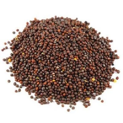 Mustard Seed -(Brown) Premium Quality 50Gram(Sarso) 100% Organic Free Shipping - Image 1 of 4