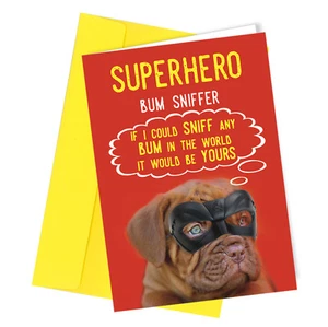 #157 Geburtstagskarte vom Hund Alternative reif lustig unhöflich Erwachsenenwitz Papa Mama - Bild 1 von 2