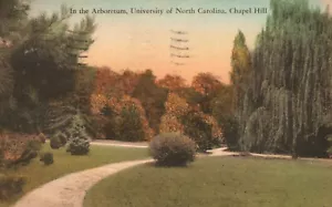 Chapel Hill NC, 1932 Arboretum University of North Carolina, Vintage Postcard - Picture 1 of 2