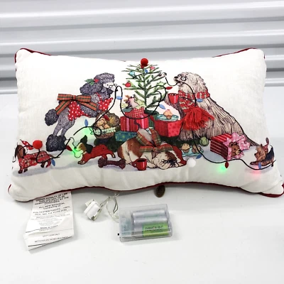 Ver Video NUEVO Pier 1 Park Avenue PERROS GATOS Luces Navidad Rectángulo Cremallera Almohada Foto 1 de 4