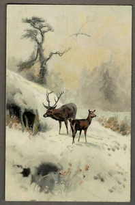 Farb-AK / Künstlerkarte: „WALDESFRIEDEN“ / ROTWILD im SCHNEE, gelaufen 1907 - Picture 1 of 2