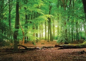 Photographic Backdrop 9ft x 6 ft - Picture 1 of 1
