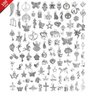 100Pcs Gifts for Women, Wife, Girlfriend Silver Charms for Bracelets & Necklaces - Picture 1 of 9