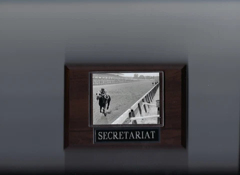 SECRETARIAT PLAQUE HORSE RACING TURF 31 LENGTHS Cover