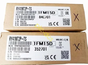 1PCS RY41NT2P-TS MITSUBISHI RY41NT2PTS PLC Module Brand new Fedex or DHL - Picture 1 of 3