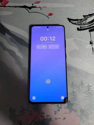 Samsung S21 Ultra 5G Schwarz Dev/Demo/Testing/Prototype Unit | Lesen! - Bild 1 von 4