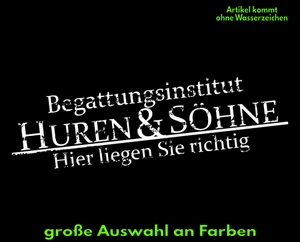 BEGATTUNGSINSTITUT Auto Aufkleber 30cm Huren & Söhne JDM FUN STICKER - Bild 1 von 4