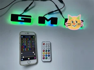 Remote APP Ctrl Mulricolor Dream CHASING FLOW Letter Lights for Car G-M-* - Picture 1 of 10