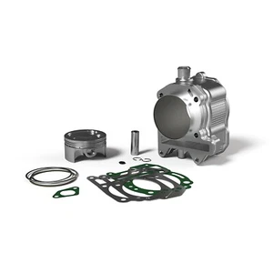 Cilindro Malossi 3113924 piaggio beverly MP3 X7 X8 X9 Xevo - Imagen 1 de 1