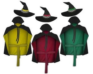 Adults The Worst Witch TV Show Halloween World Book Day Fancy Dress Costume - Picture 1 of 4
