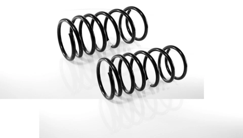 2x Coil Springs Rear Right and Left for Chrysler 300M 1998-2004 — 第 1/4 张图片