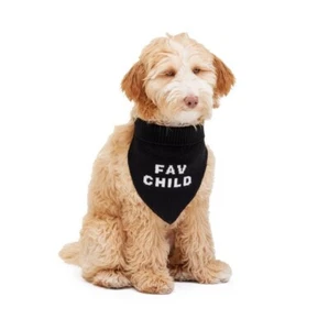 M/L NWT The Cuddle Collab ''Fav Child'' Dog/Cat SWEATER Bandana - Picture 1 of 3