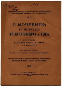 1895 Dissertation 500 copies only in Russian Russisch Diplomarbeit 500 Instanzen - Bild 1 von 4