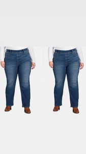 Lot of 2 Terra & Sky Straight Leg Jeggings, 29” Inseam Size 2X Medium Wash - Picture 1 of 5