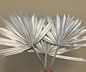 3 Piccole Foglie Lancia Di Palma Argento/Ventola, TOPPER PER Torte. Fiori Essiccati Palma - Foto 1 di 3