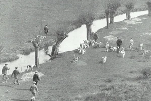 Bucks Otterhounds at Brackley Bridge Northamptonshire 1930 Photo Article K613 - Picture 1 of 2