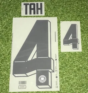 Jonathan Tah Flock Set in Matchworn Size für DFB Deutschland Home Trikot EM 2024 - Bild 1 von 1