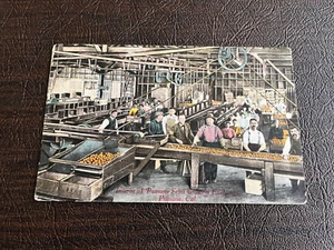 Lithograph Pomona California Labor Scene at Fruit Growers Exchange 1910 - Picture 1 of 2