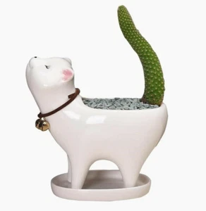 Linda maceta de cactus suculentos para gatos con orificio de drenaje y bandeja decoración de maceta - Imagen 1 de 8