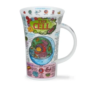 Dunoon THE CELL Glencoe Shape Mug - Tea Or Coffee Mug New Gift Boxed - Picture 1 of 1