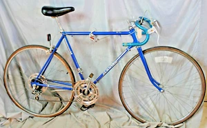 1980 Schwinn Varsity Vintage Road Bike 54cm Small Positron Steel Fast US Shipper - Picture 1 of 24