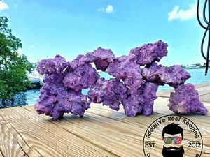 ARK Purple Dry Reef Rock Aragonite Base, Porous Aquariums Live - Picture 1 of 4