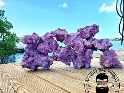 ADDICTIVE REEF KEEPING 20lbs. Purple Dry Reef Rock Aragonite Base, Porous Aquarium Live- PICK SIZE!!!
