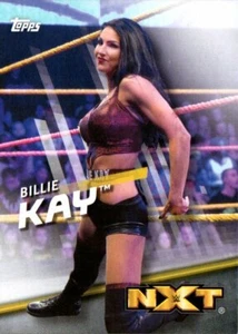 2016 Topps WWE Divas Revolution tarjeta de lucha libre #40 Billie Kay Iconics - Imagen 1 de 2