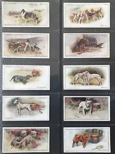 PLAYERS Cigarette Card Set - DOGS 1925 - Whippet Airedale Saluki Spaniel Setter - Picture 1 of 2