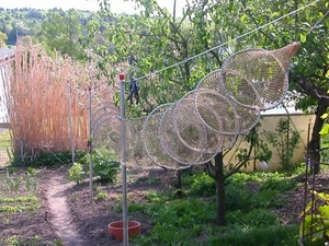 Berufsfischreuse Doppel Reuse 500 X 40 cm Aalreuse Karpfen Krebs Köderfisch - Bild 1 von 8