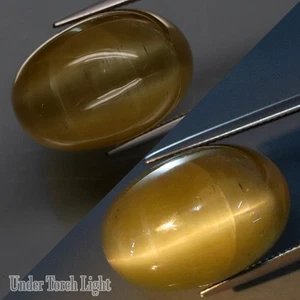 53,20 quilates ¡¡¡ULTRA RARO!!! 100% Natural GIGANTE Amarillo Apatita Ojo de Gato Brasil - Imagen 1 de 4