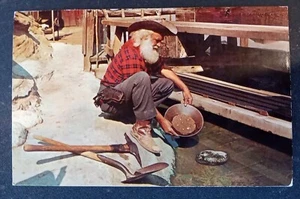 Postcard Buena Park California Knotts Berry Farm Prospector Gold Panning - Picture 1 of 2