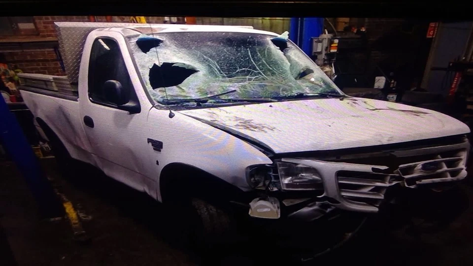 Engine 5.4L VIN Z 8th Digit SOHC Bi-fuel Fits 99 FORD F150 PICKUP 6378792 Foto 1 de 4