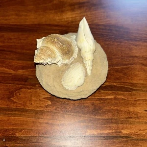 NEW Yankee Candle Co Candle Topper SEASHELLS Beach Ocean Theme - Picture 1 of 5