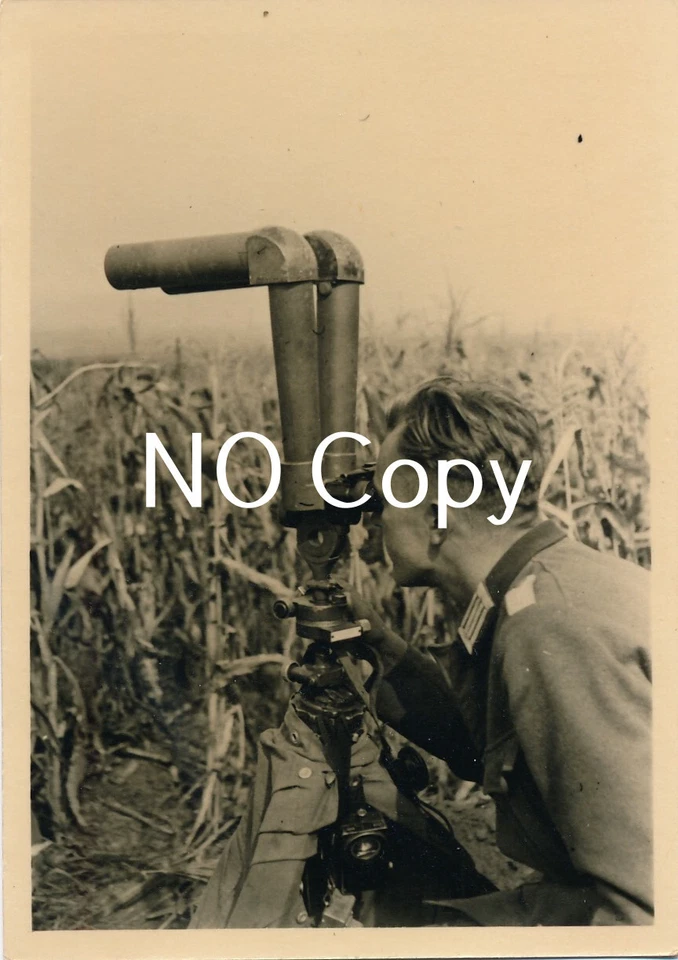Foto WK2 Russland  Soldat am Scherenfernrohr im Maisfeld  X119 - Bild 1 von 1
