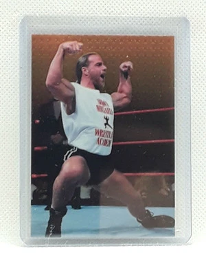 Shawn Michaels 1999 Comic Images WWE Wrestling Smackdown! Chromium Edition #29 - Image 1 of 2
