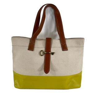 fossil beach bag