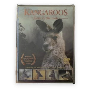 Kangaroos Faces In The Mob DVD Australian Wildlife Eastern Grey Region ALL - Imagen 1 de 2