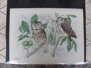 Original  Rex Brasher #371  Hand Colored Bird Print  Richardson Owl #371REX2 DSS - Picture 1 of 1