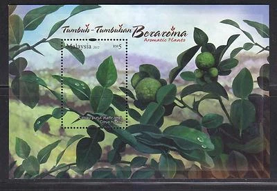 MALAYSIA 2012 AROMATIC PLANT (KAFFIR LIME) SOUVENIR SHEET OF 1 STAMP IN MINT MNH - Image 1 of 3